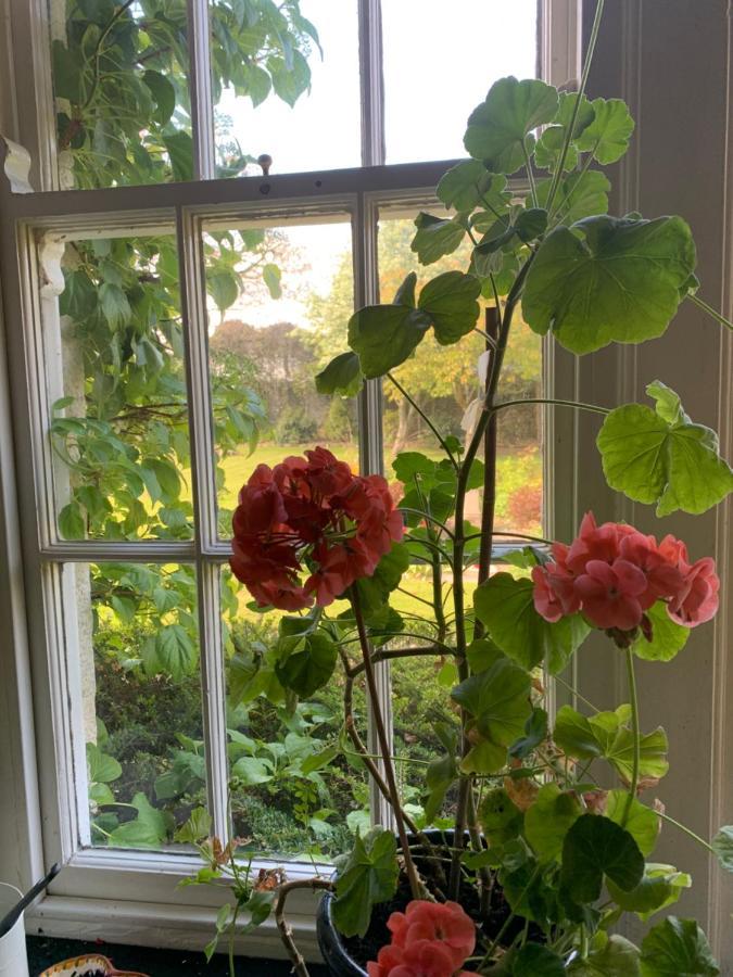 Dalton House Bed And Breakfast Exteriör bild