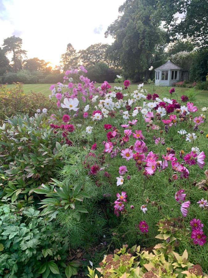 Dalton House Bed And Breakfast Exteriör bild